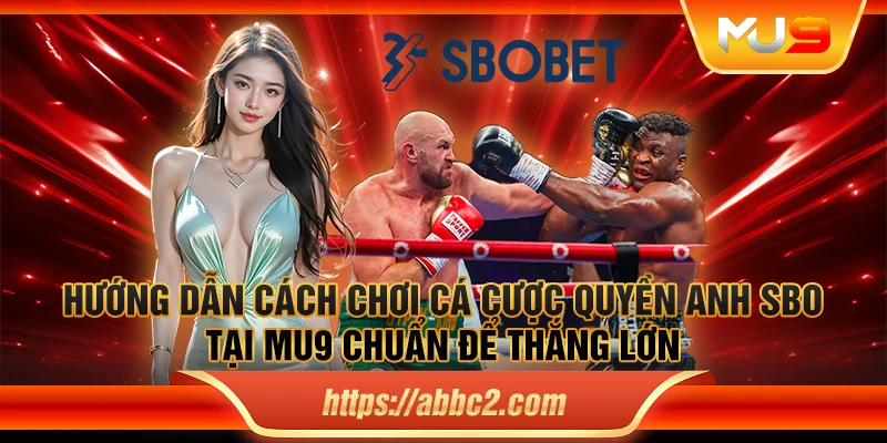 Hướng dẫn cách chơi cá cược quyền anh SBO tại MU9 chuẩn để thắng lớn