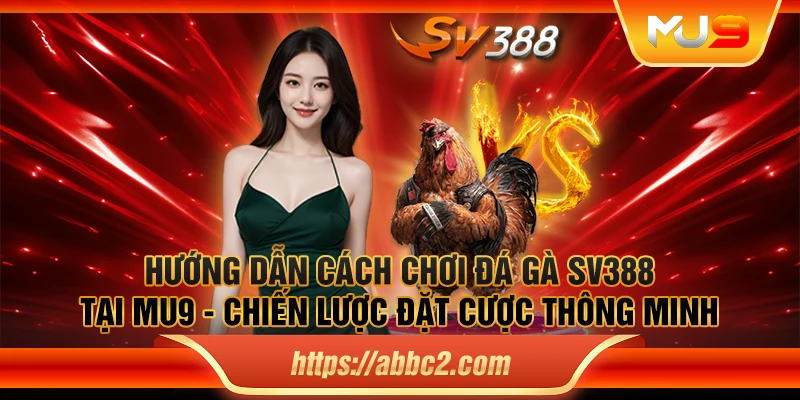 Hướng dẫn cách chơi đá gà SV388 tại MU9 - Chiến lược đặt cược thông minh