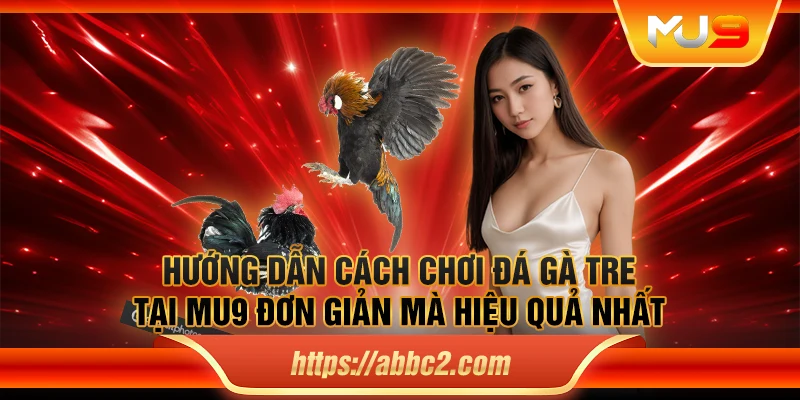 Hướng dẫn cách chơi đá gà tre tại MU9 đơn giản mà hiệu quả nhất