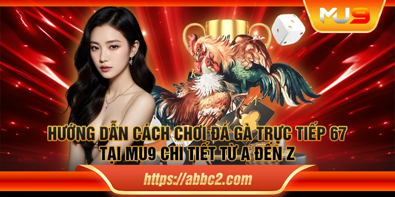 Hướng dẫn cách chơi đá gà trực tiếp 67 tại MU9 chi tiết từ A đến Z
