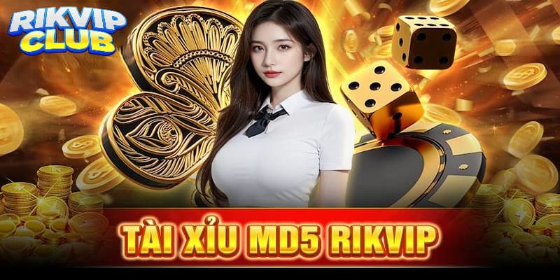 Khám phá đôi nét về tài xỉu MD5 Rik vip