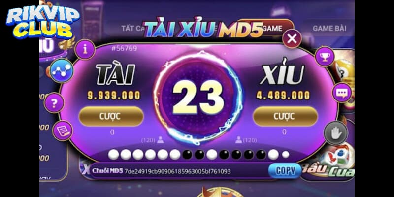 Khám Phá Tài Xỉu Md5 Rik Vip - Nền Tảng Cược Siêu Hiện Đại Các cửa cược thu hút khi người chơi tham gia tài xỉu MD5